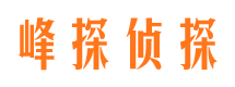 广南寻人公司